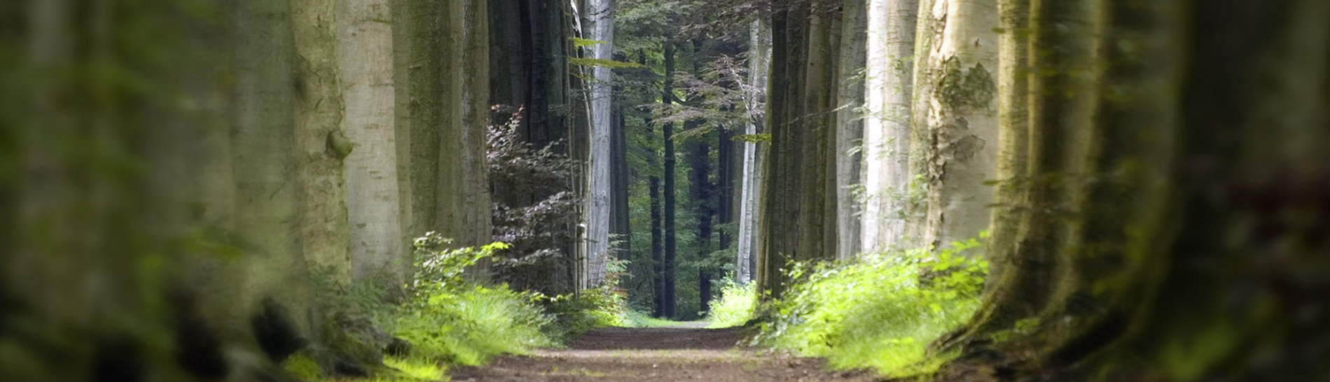 Screenshot 2024-08-09 120754