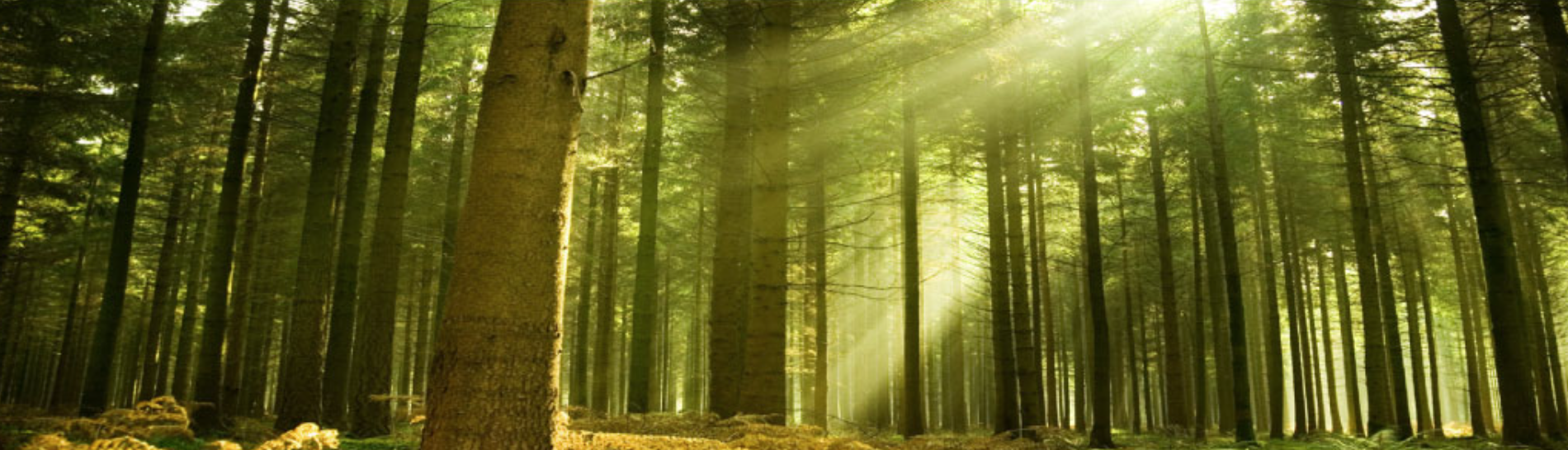 Screenshot 2024-08-09 120905